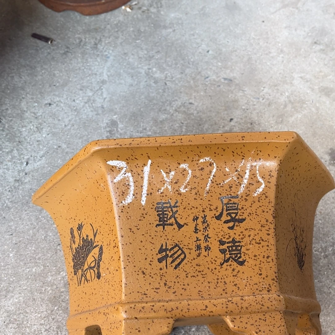 花盆底槽青盆景艺术
