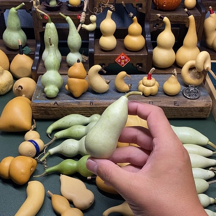 葫芦青皮本长包成