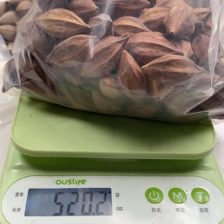 十***一手串/手链橄榄核橄榄核雕