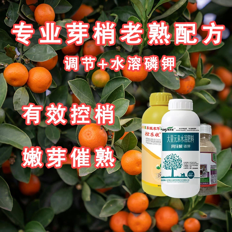 控梢配方 大量元素水溶肥料同花顺磷钾控乐收膨果控梢促芽梢老熟