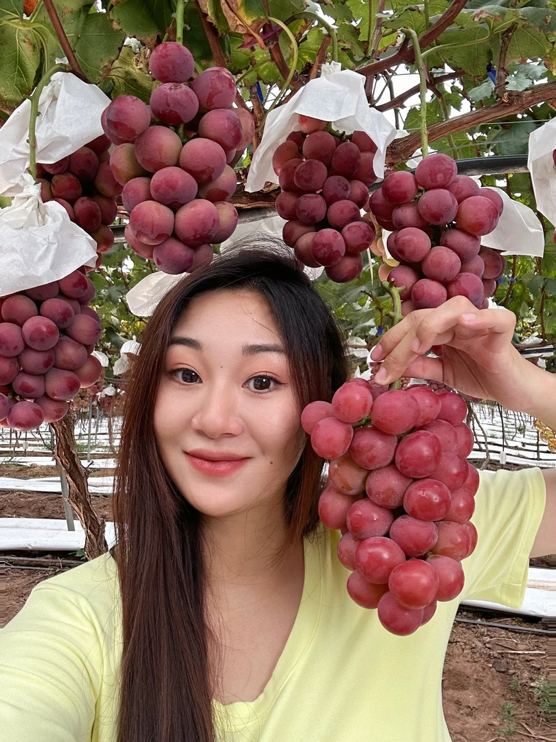 (顺丰颗粒装）妮娜皇后葡萄现采现发红酒香草莓香纯甜无籽香甜爆汁