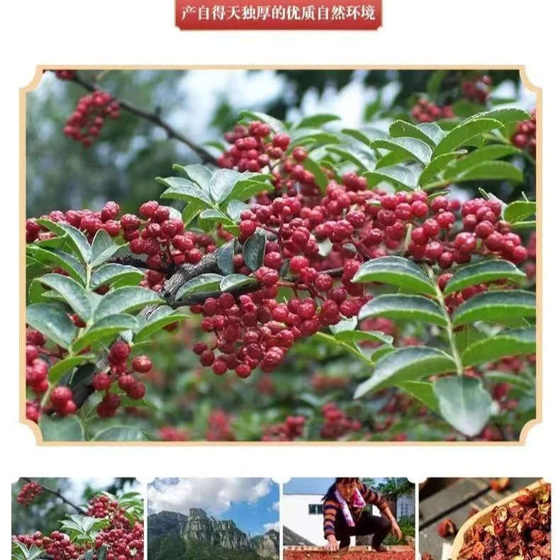 四川新鲜红花椒香味浓郁带叶可制作花椒油