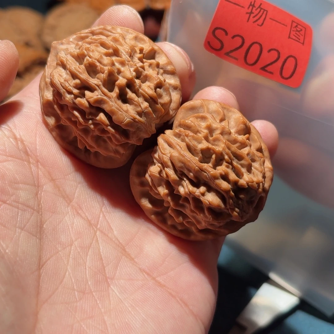 吊坠文玩核桃红珊瑚