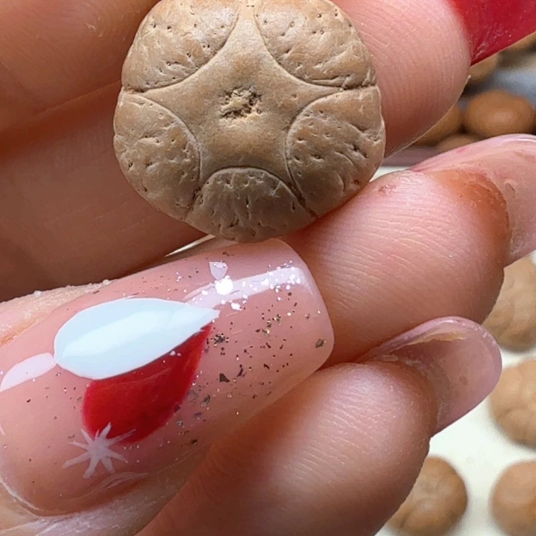 H***.手串凤眼菩提五星三通