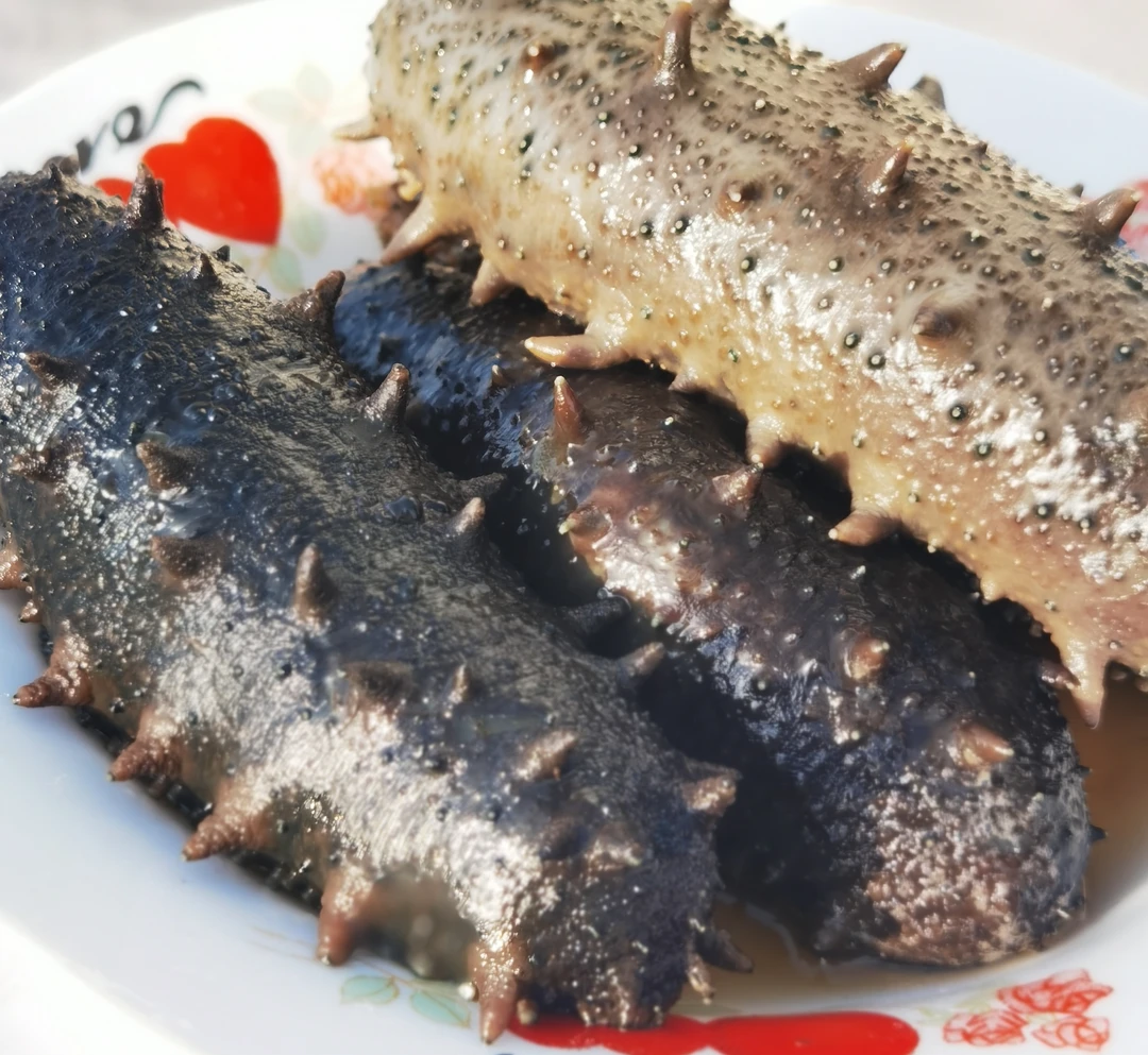 （深水海参）2公斤冻煮料