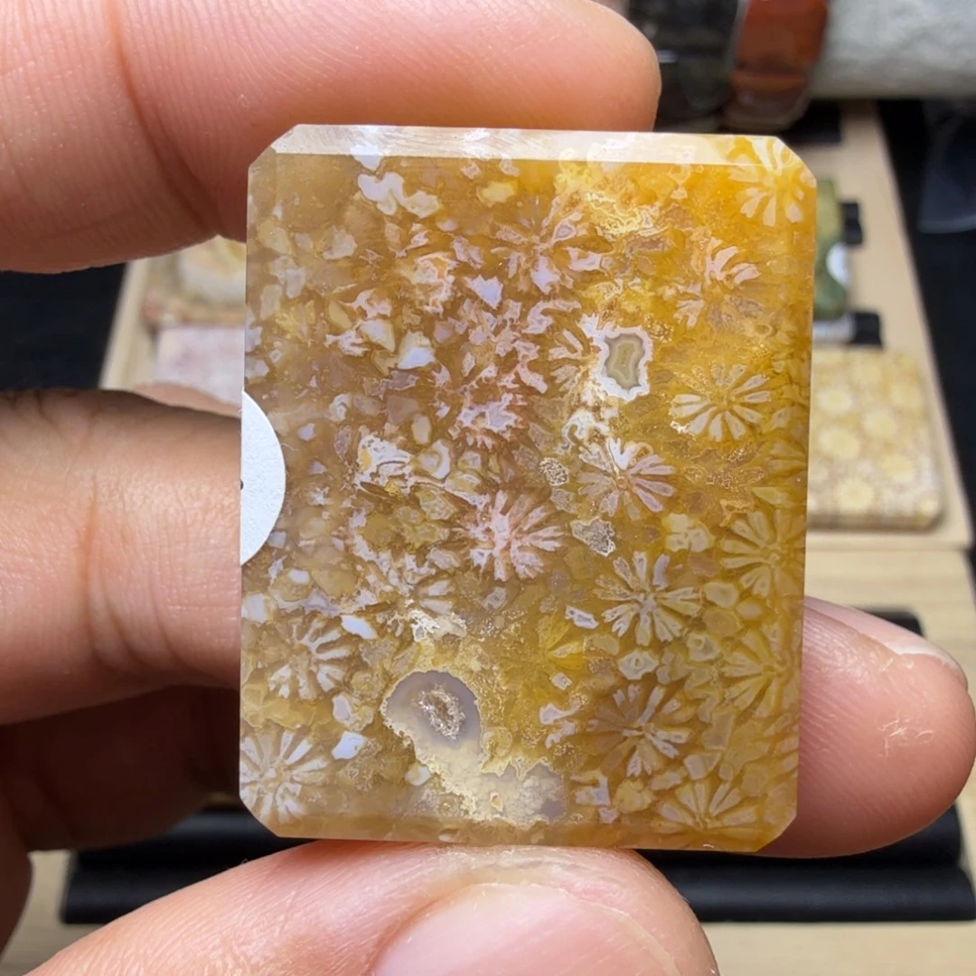 硅化玉未镶嵌纯天然色有机玉石保真色