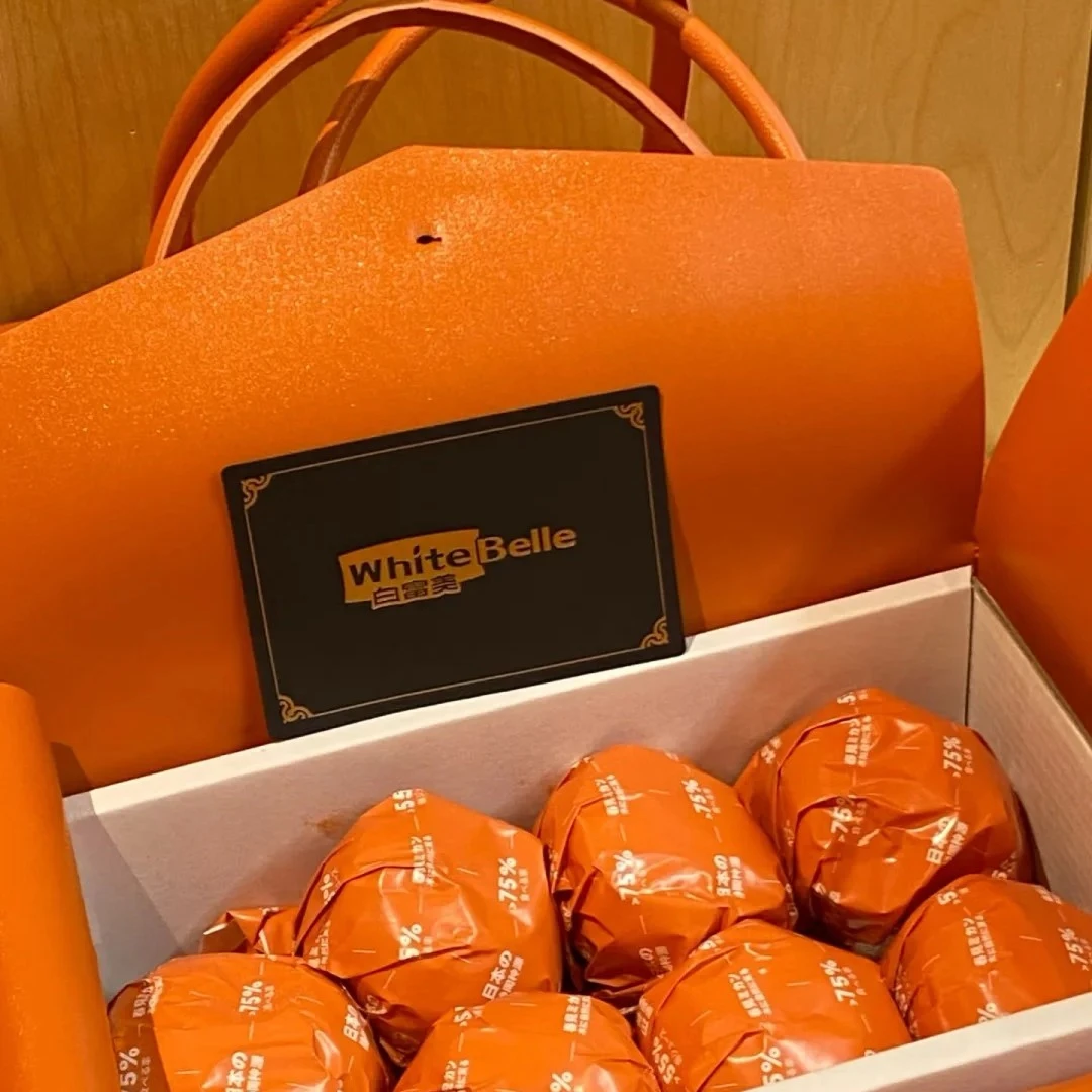 白富美新春限定轻奢春见礼袋