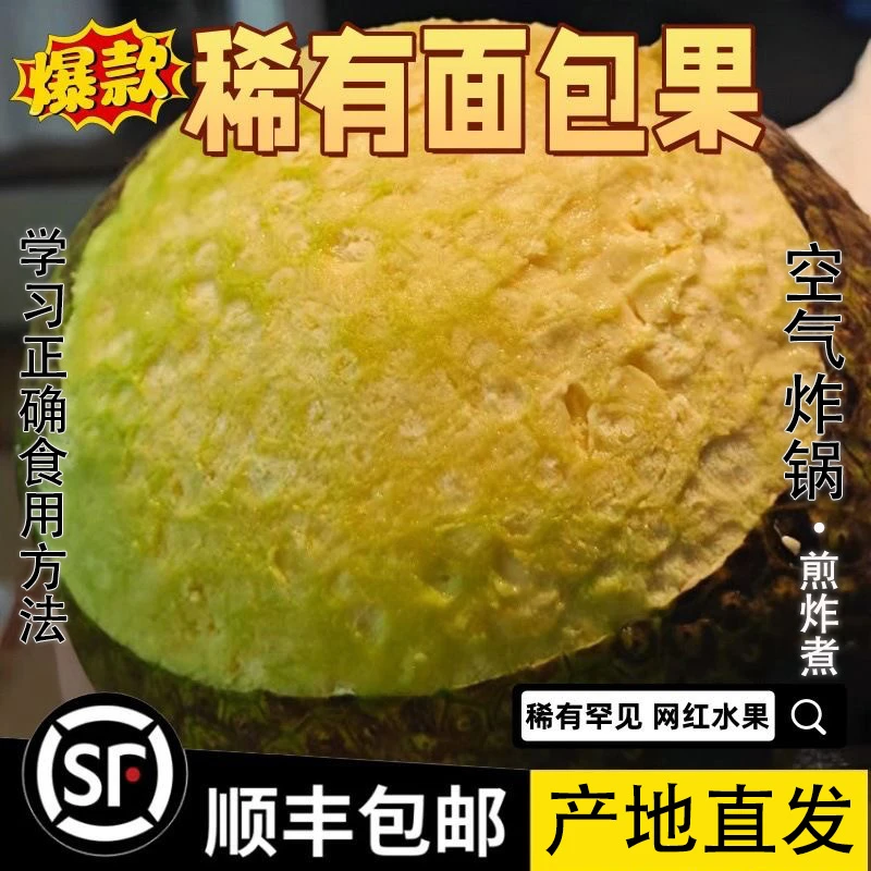 【稀有面包果】菠萝蜜近亲网红水果面包果煎炸煮食用新鲜采摘顺丰
