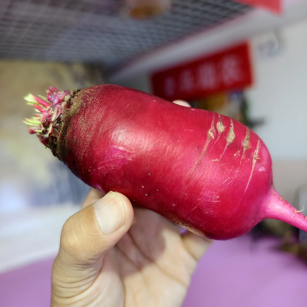 徐州穿心红萝卜25年新鲜上市邳州穿心红萝卜家乡的味道