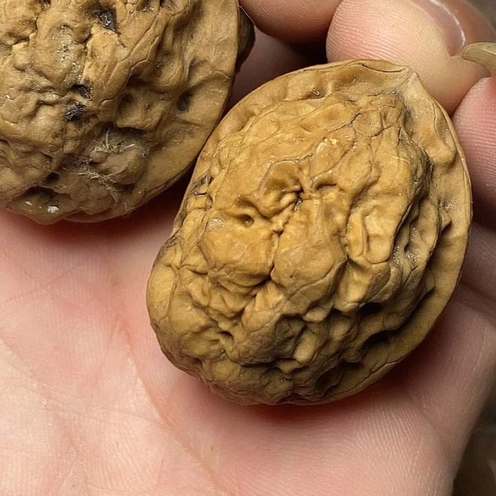 把件文玩核桃云南铁核桃6