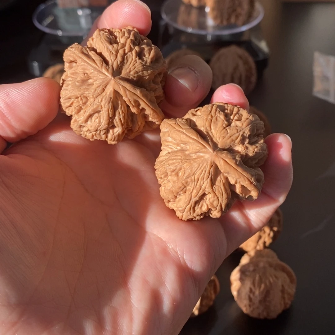 核桃全品货头大粗筋狮子头42