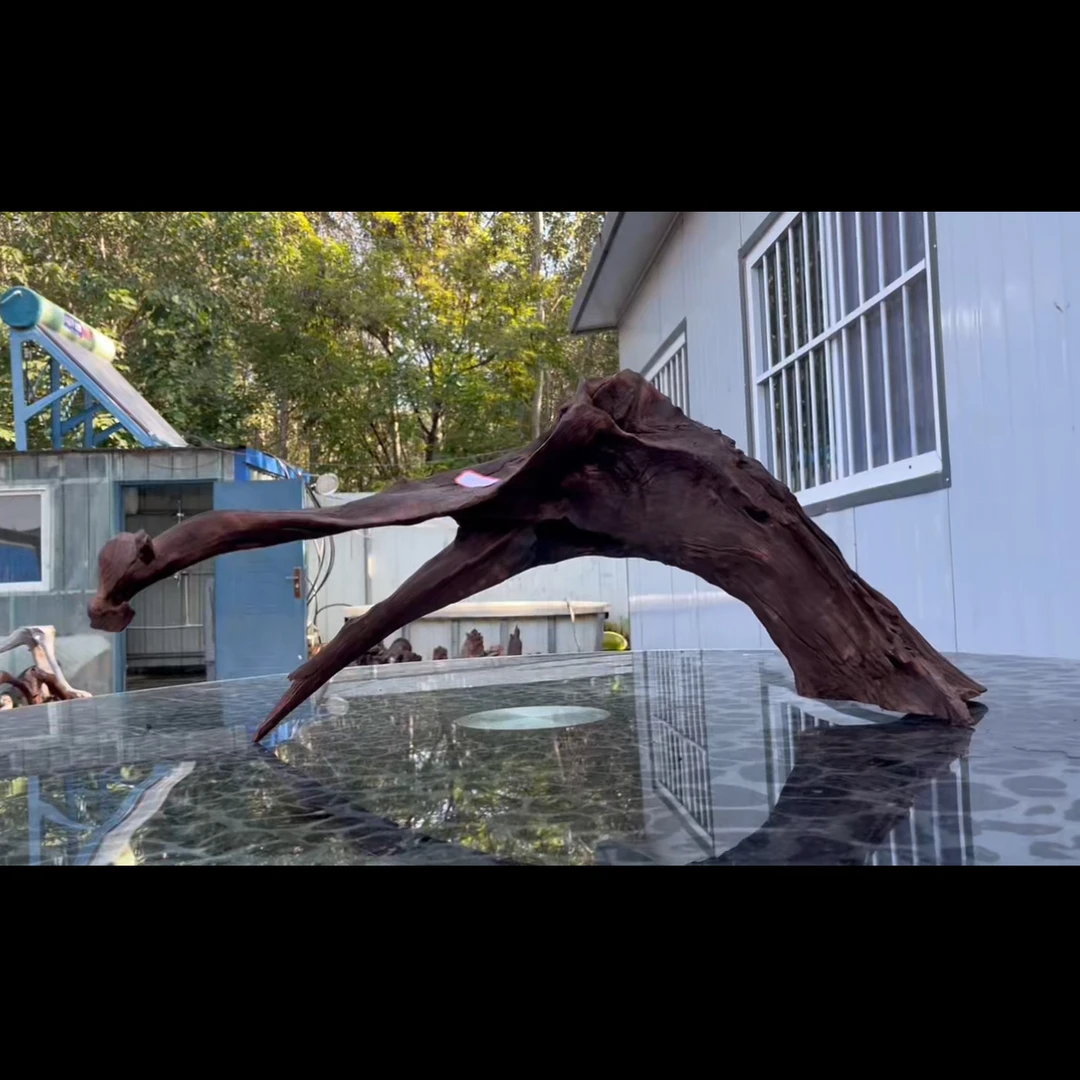 尺寸70×20×30 鱼缸造景沉木摆件，紫柚木，秒沉水，顺丰，包煮，双11