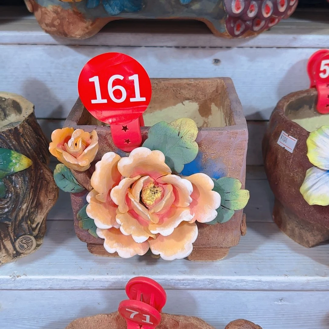 艾****1161号盆97           盆