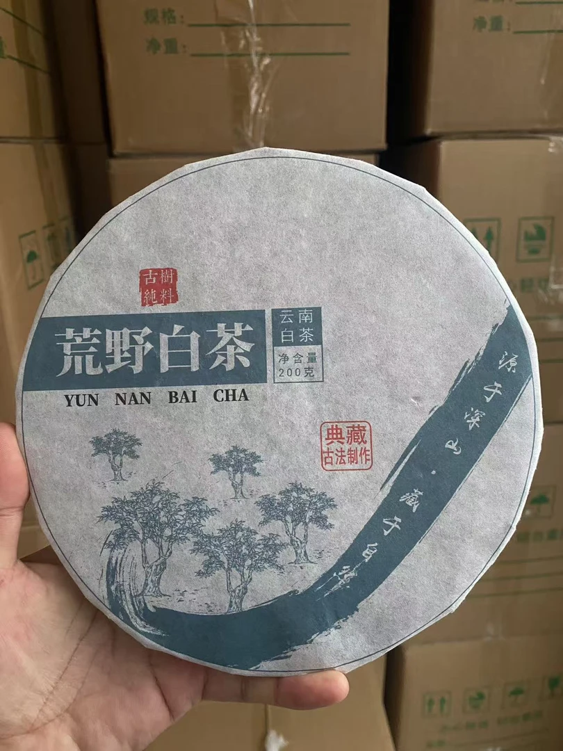 2024年古树荒野白茶