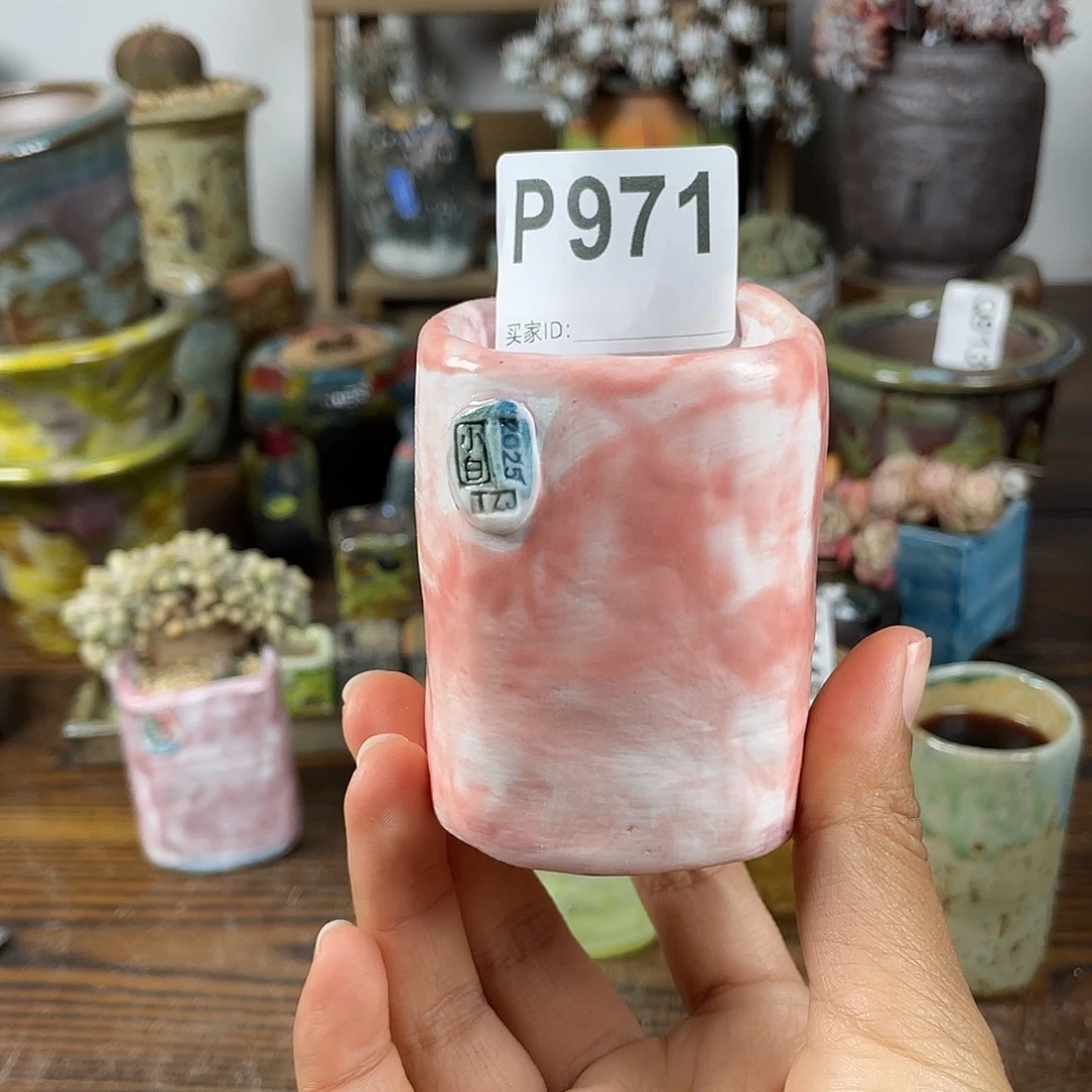 坛子姐花盆 小白孤品 内口4.5