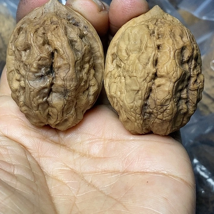 文玩核桃把件云南铁核桃79