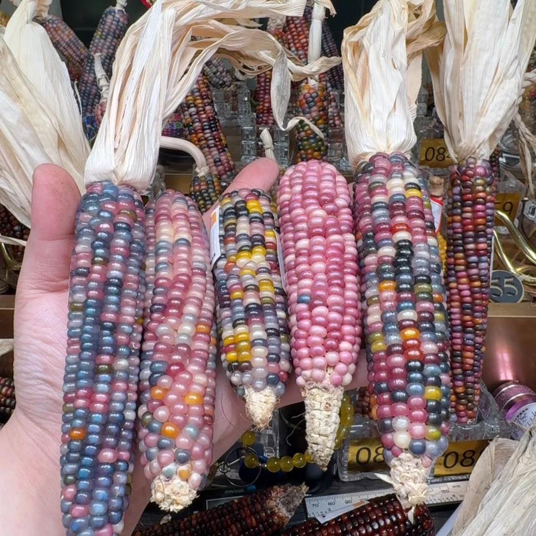 柏香籽/百香籽吊坠宝***姐