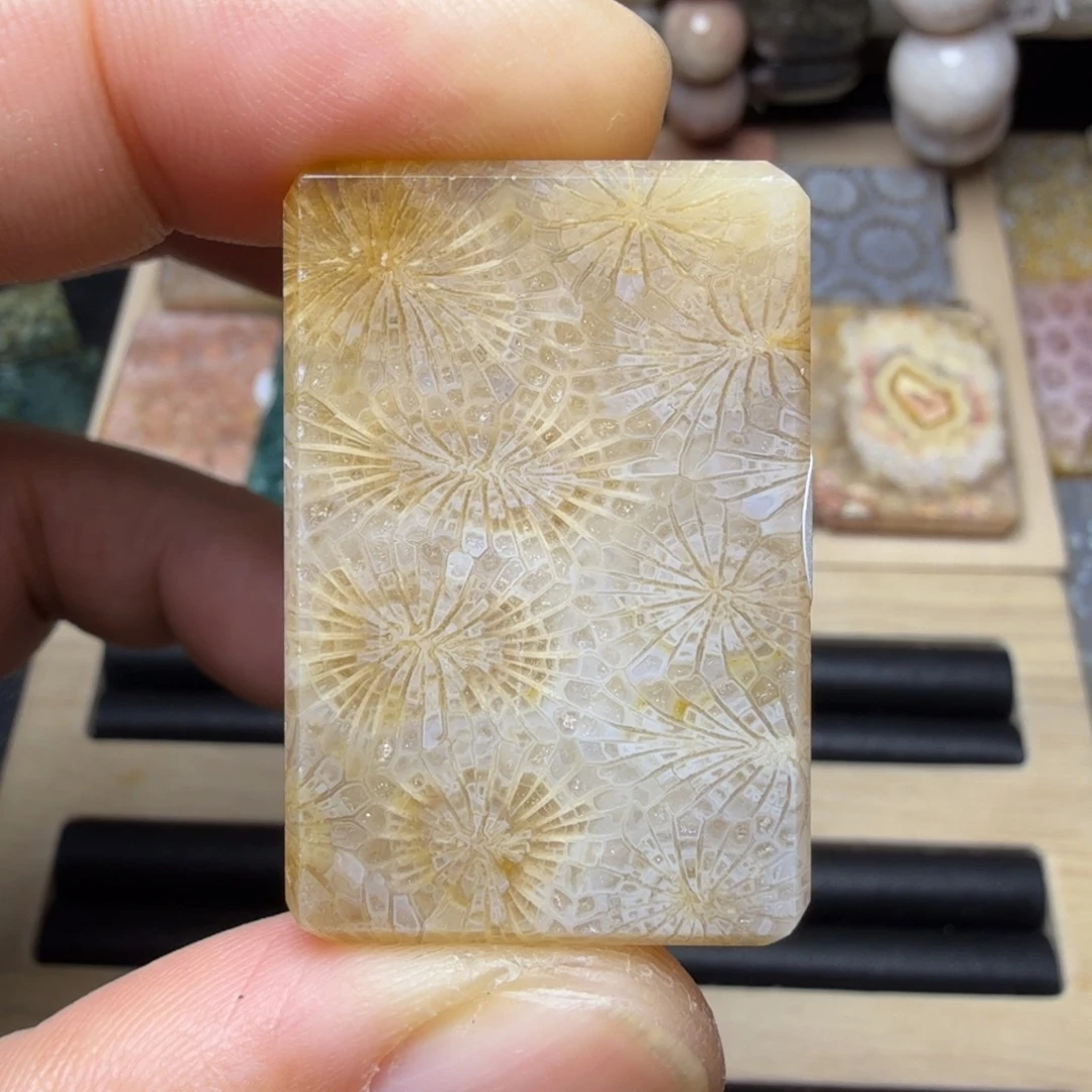 硅化玉未镶嵌纯天然色有机玉石保真色