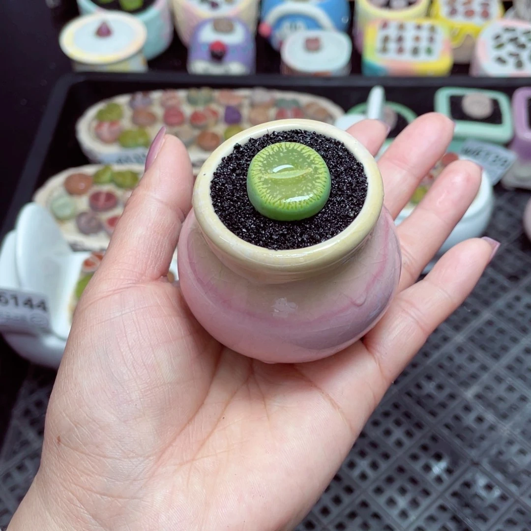 w6146 -零下地区拍保温箱-15支持寄养