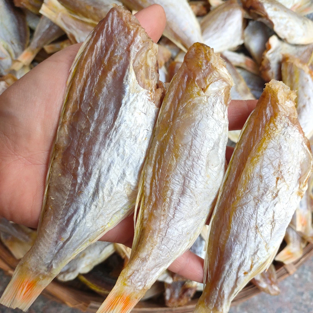 红三鱼干本港野生渔民自晒无头去内脏大号咸香红衫鱼干海鲜干货