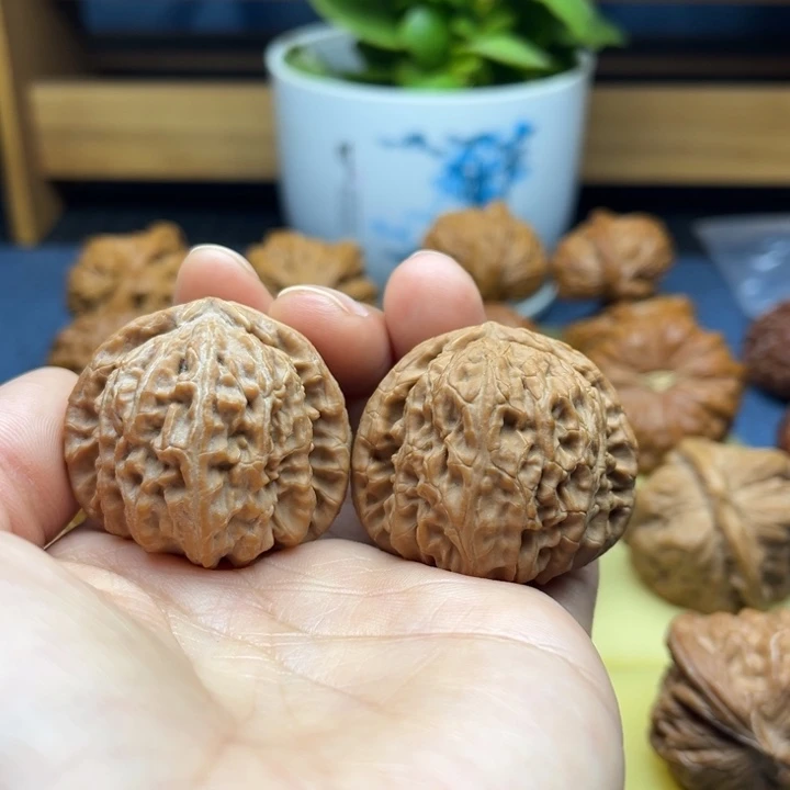 39全品三角白狮子头