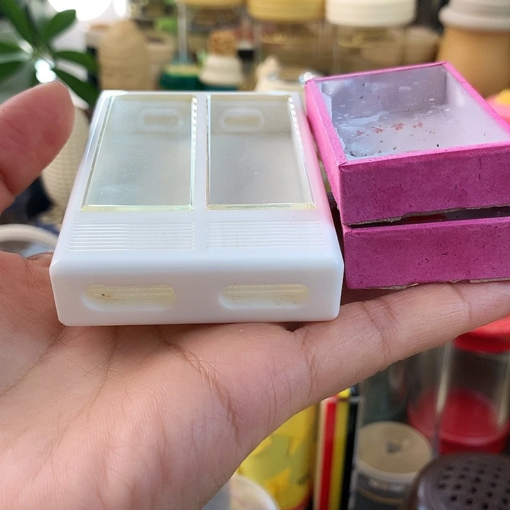 一套两只大黄通过啊啊啊
