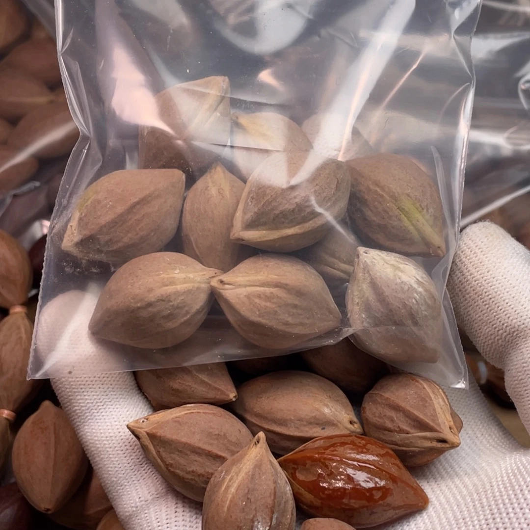 潜***用橄榄核手串/手链1