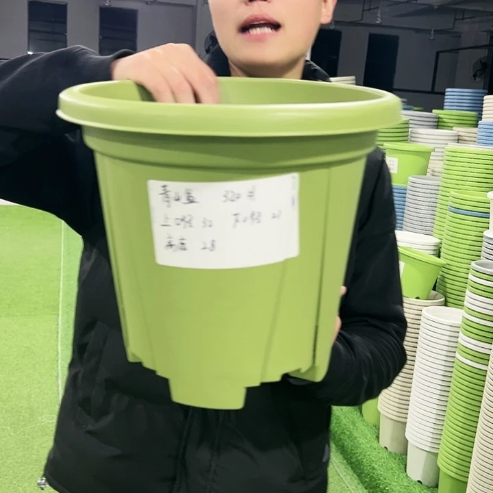 清仓青山口32高28果绿色5只无托