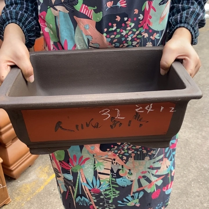 花盆紫砂自己出来了没有吧