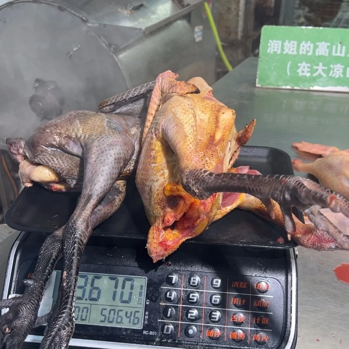 一号公鸡食用农产品中国大陆用****8