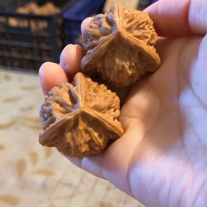 核桃手串/手链三棱