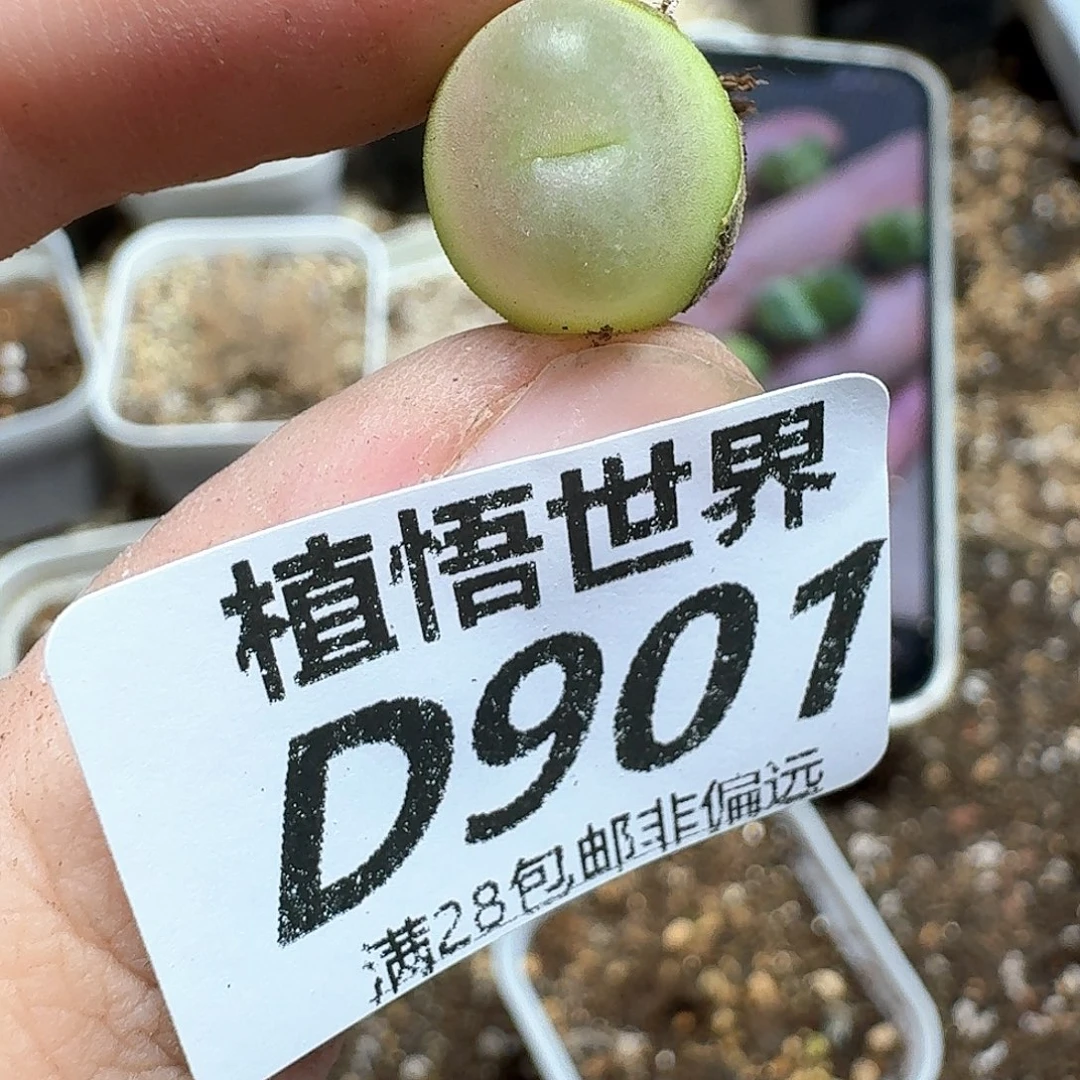 的润泽的润泽动作f