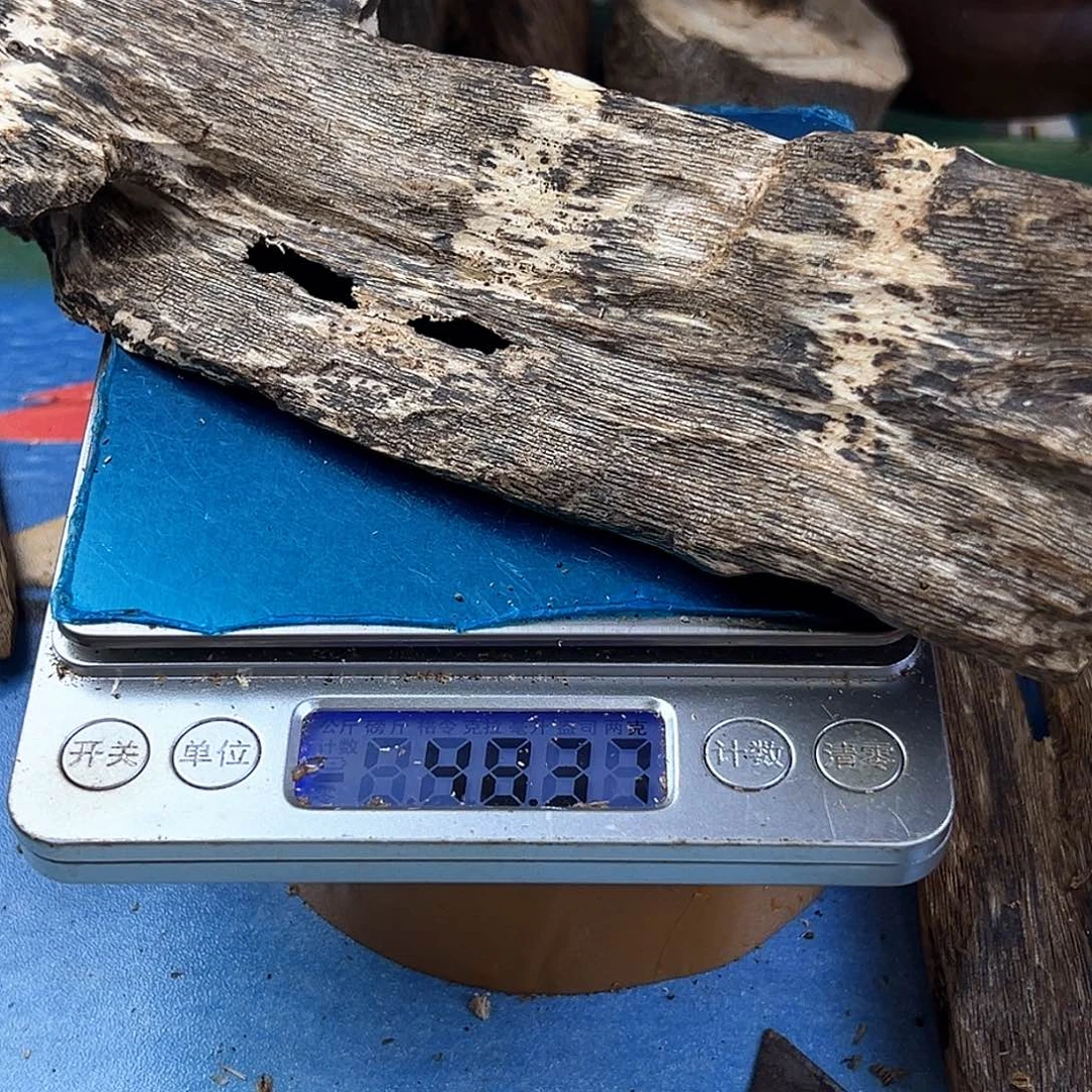 香料绿奇楠虫漏乌身圆叶48克