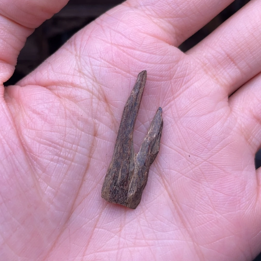 香榧木海南大山沉水树心油0.8克