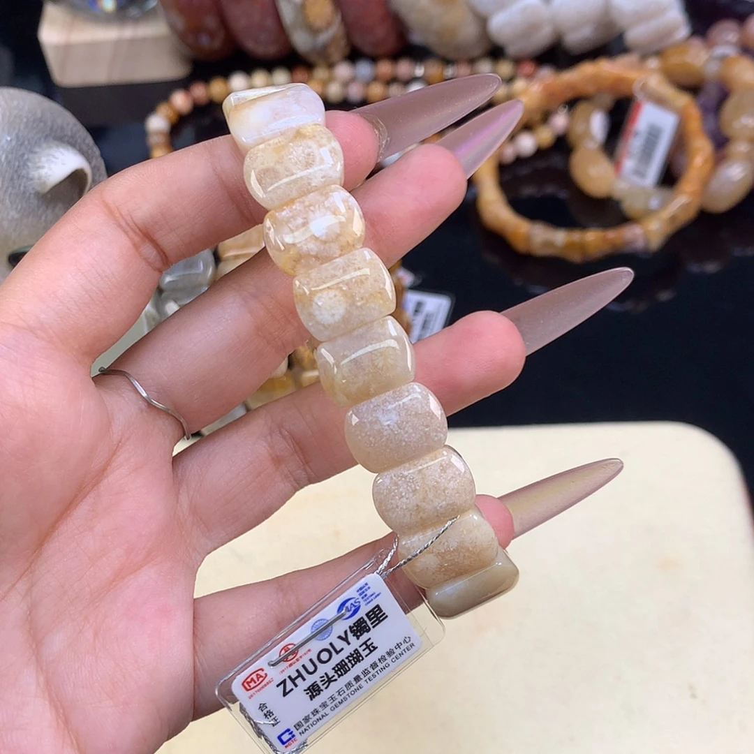 【闪购商品】颈饰未镶嵌硅化珊瑚（珊瑚玉）