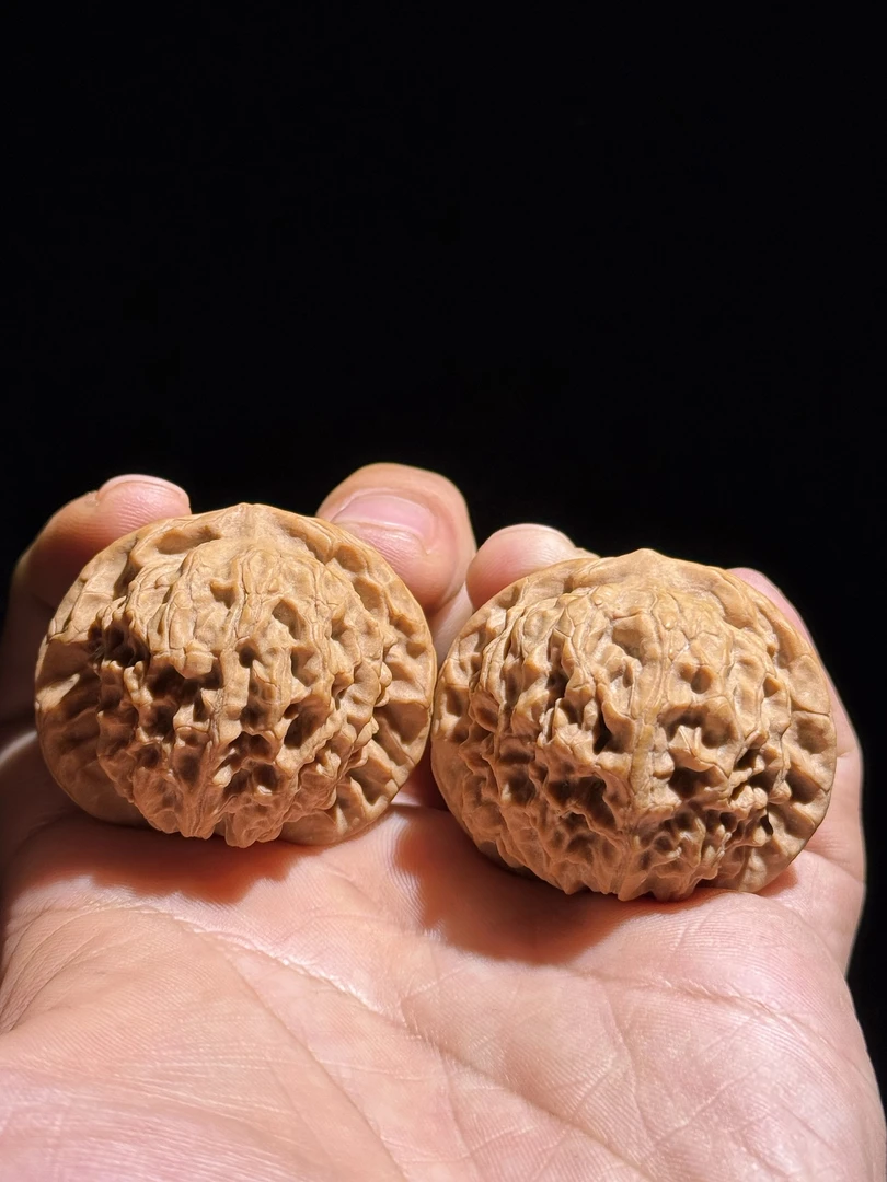 44尺全品无修【望月舞狮子】核桃 边44肚41高37 37.5克九顶山狮子头