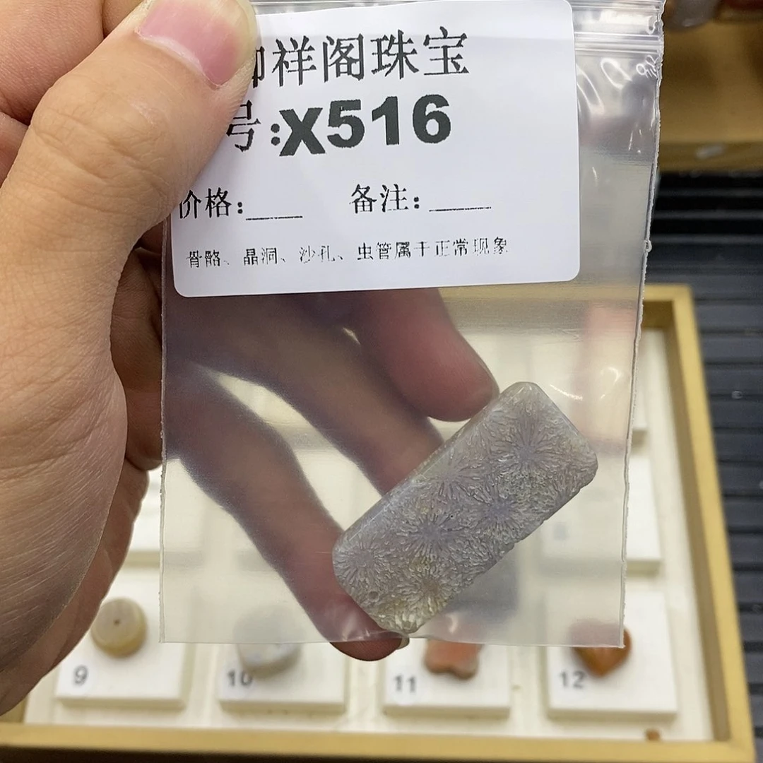 硅化珊瑚（珊瑚玉）未镶嵌颈饰柳*似