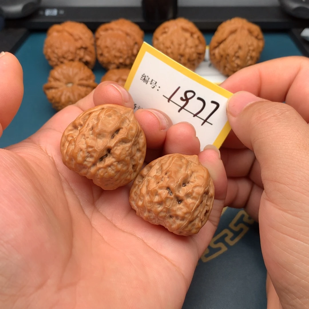 南****把件文玩核桃蛤蟆1977