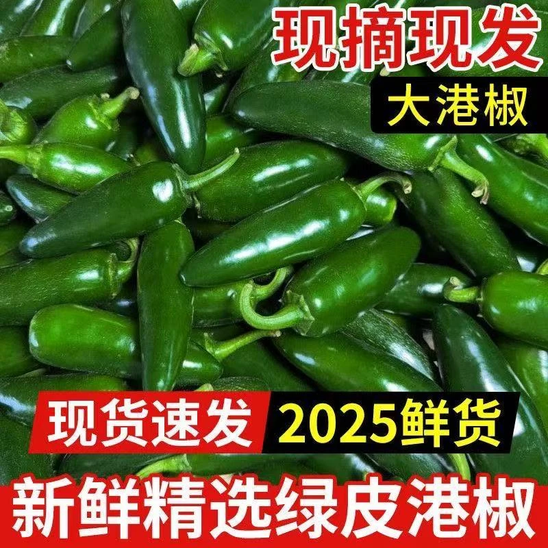 东北港椒香辣腌制辣椒咸菜肉厚港椒辣椒油辣椒