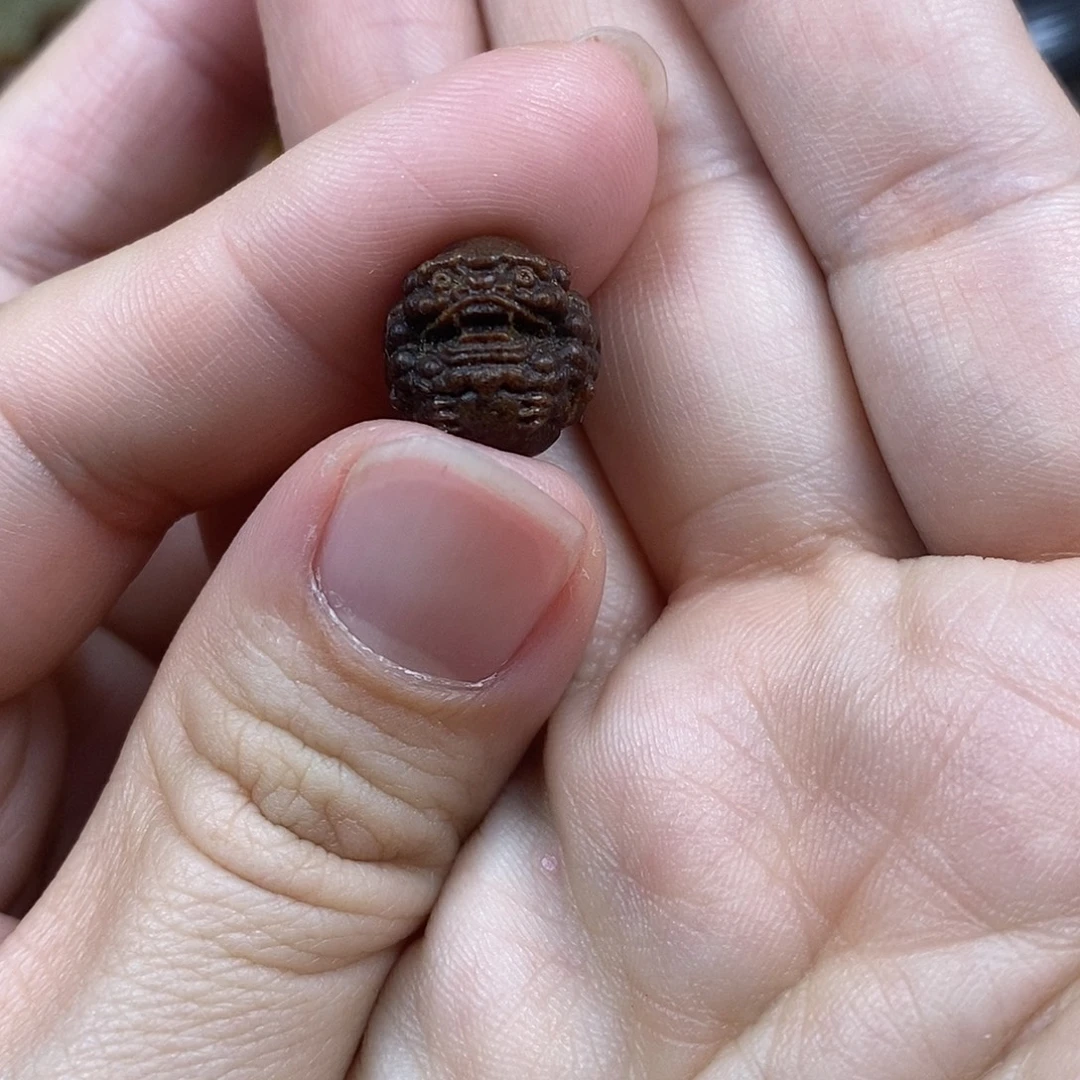 贡木手串/手链1313巴布亚新几内亚贡