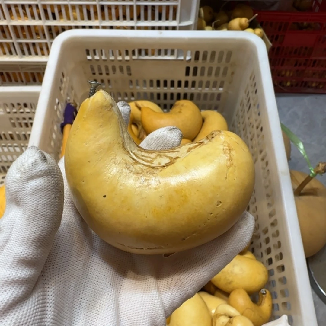 玫***猹哈哈哈哈哈哈哈哈哈哈