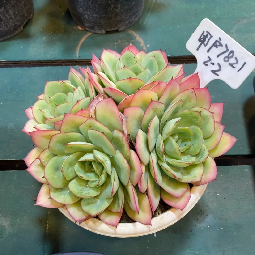 自然科学是指通过科学方法和科学技术