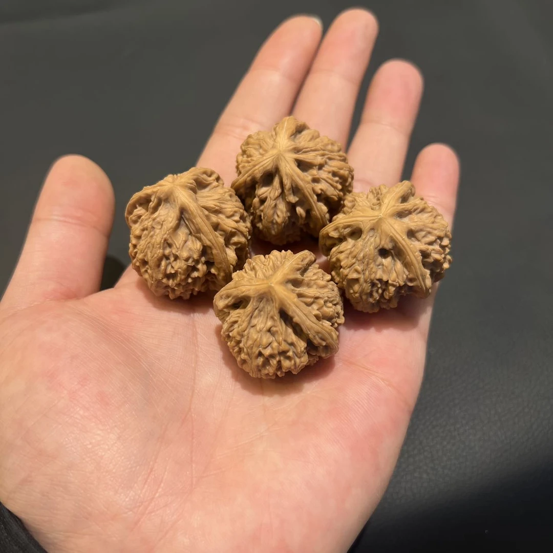 【曹掌柜精选】5  G05331-核桃（玉龙粗筋三棱）-35mm-多样性发一对