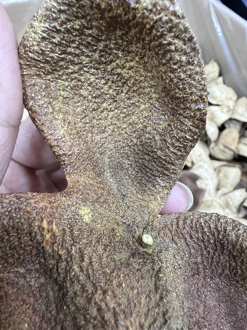 【尚好陈皮】2016东甲原枝狗腩冬后大红皮玻璃罐礼盒送人 拍一发二