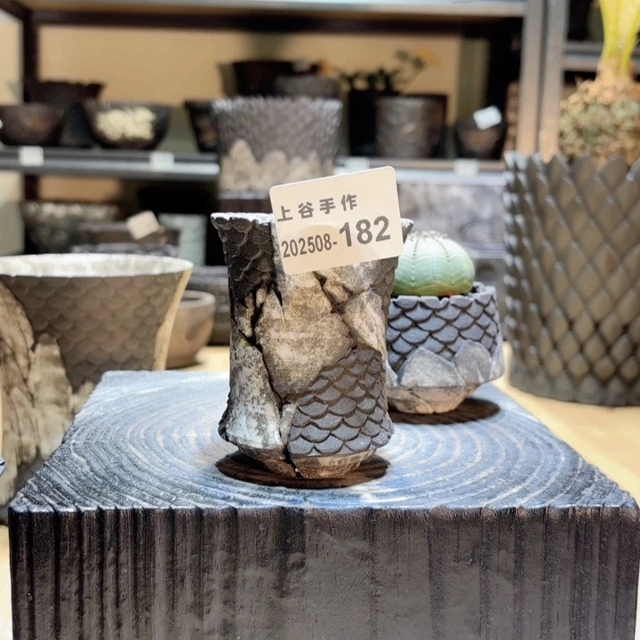 黑陶内口6高9块根盆