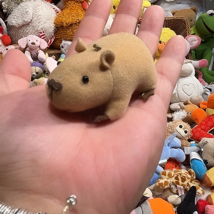 毛绒挂件哈哈哈哈哈