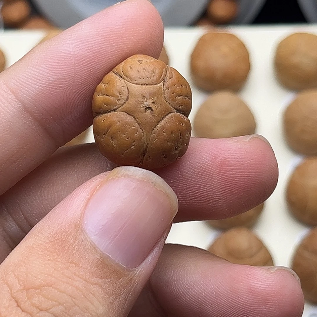 沧***提吊坠凤眼菩提五星打孔不退换