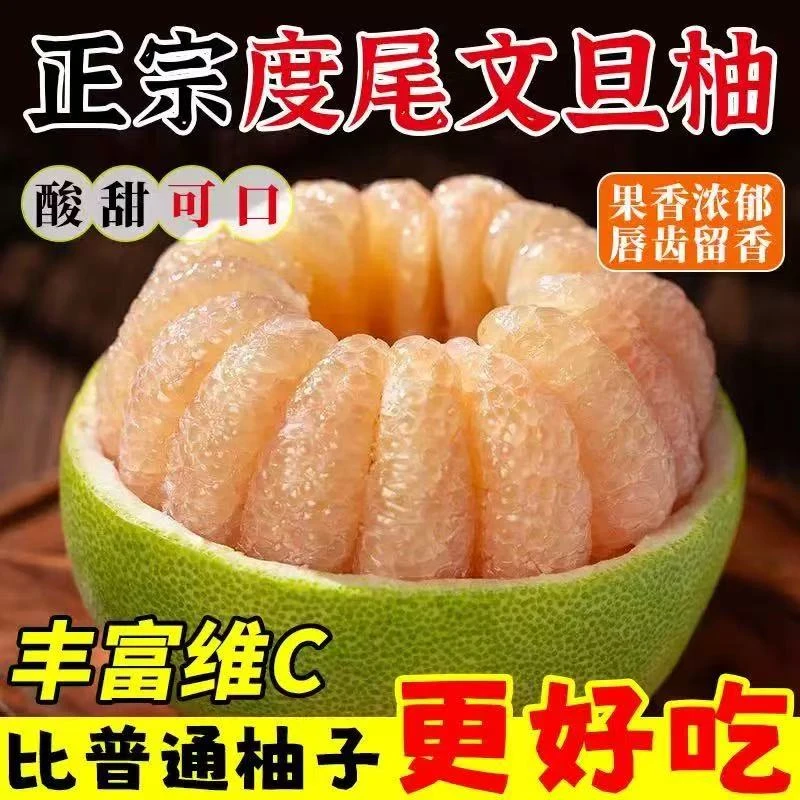 福建仙游度尾文旦柚精品老树新鲜采摘多汁酸甜口当季水果