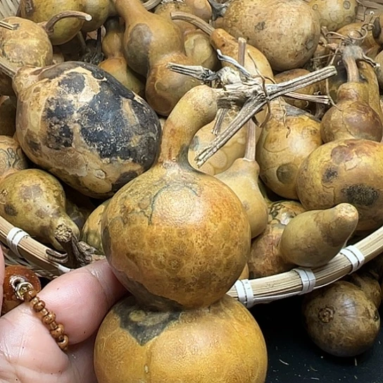 大**我葫芦葫芦葫芦葫芦葫芦葫芦
