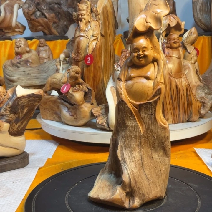 柏木（崖柏）  弥勒